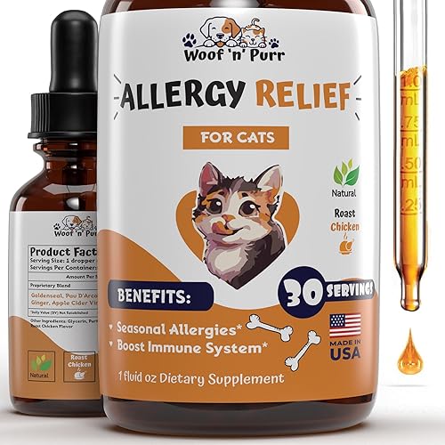 Cat Food Allergies: Symptoms, Causes, and Treatment - PetMD