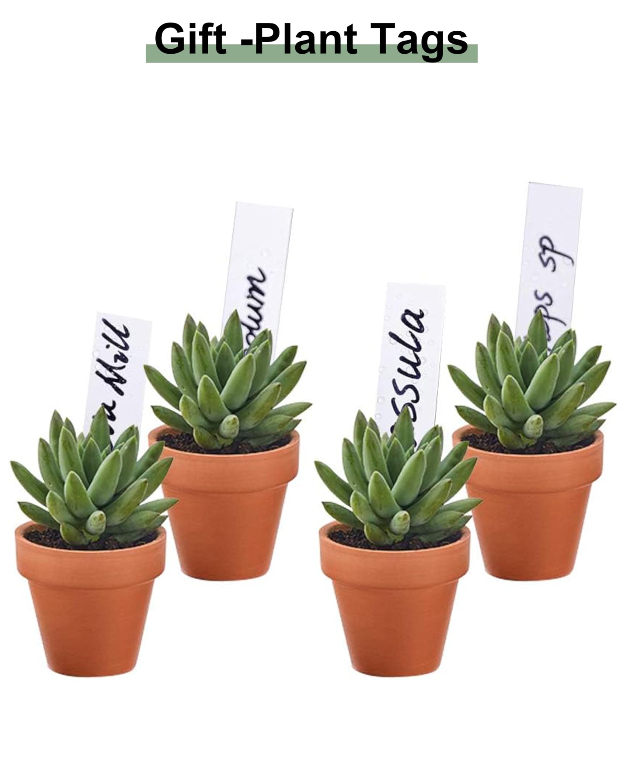 Riseuvo Małe mini doniczki gliniane, 5 cm, terakota, glina, ceramiczna doniczka, kaktus, doniczki z terakoty, doniczki do przedszkola, z otworem drenażowym, do roślin wewnątrz/na zewnątrz, rękodzieła
