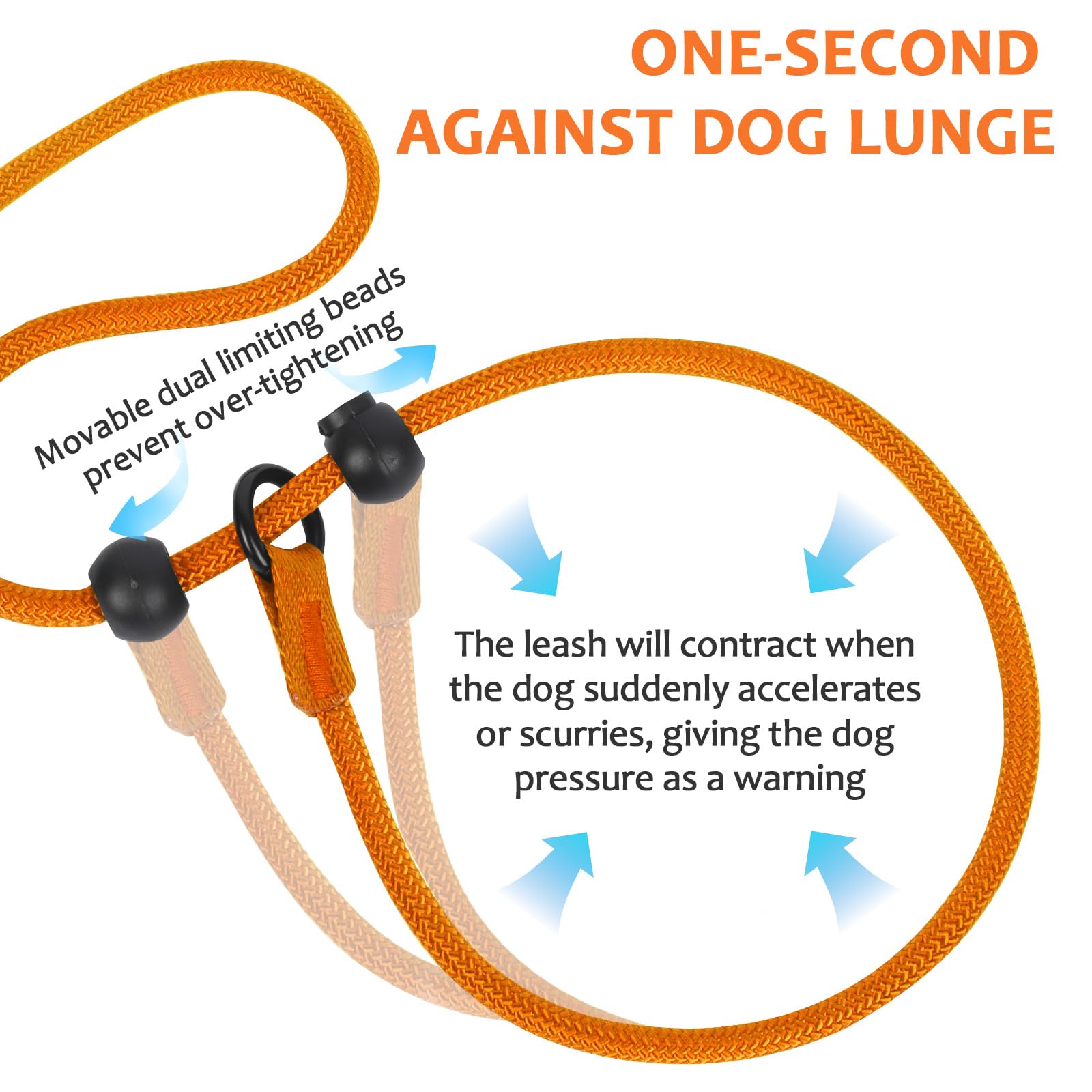 Slip Lead for Dogs Dog Slip Collar Anti-Choking, Double Handle Dog Lead with Soft Foam Padded & Climbing-Grade Nylon Rope - Image 3