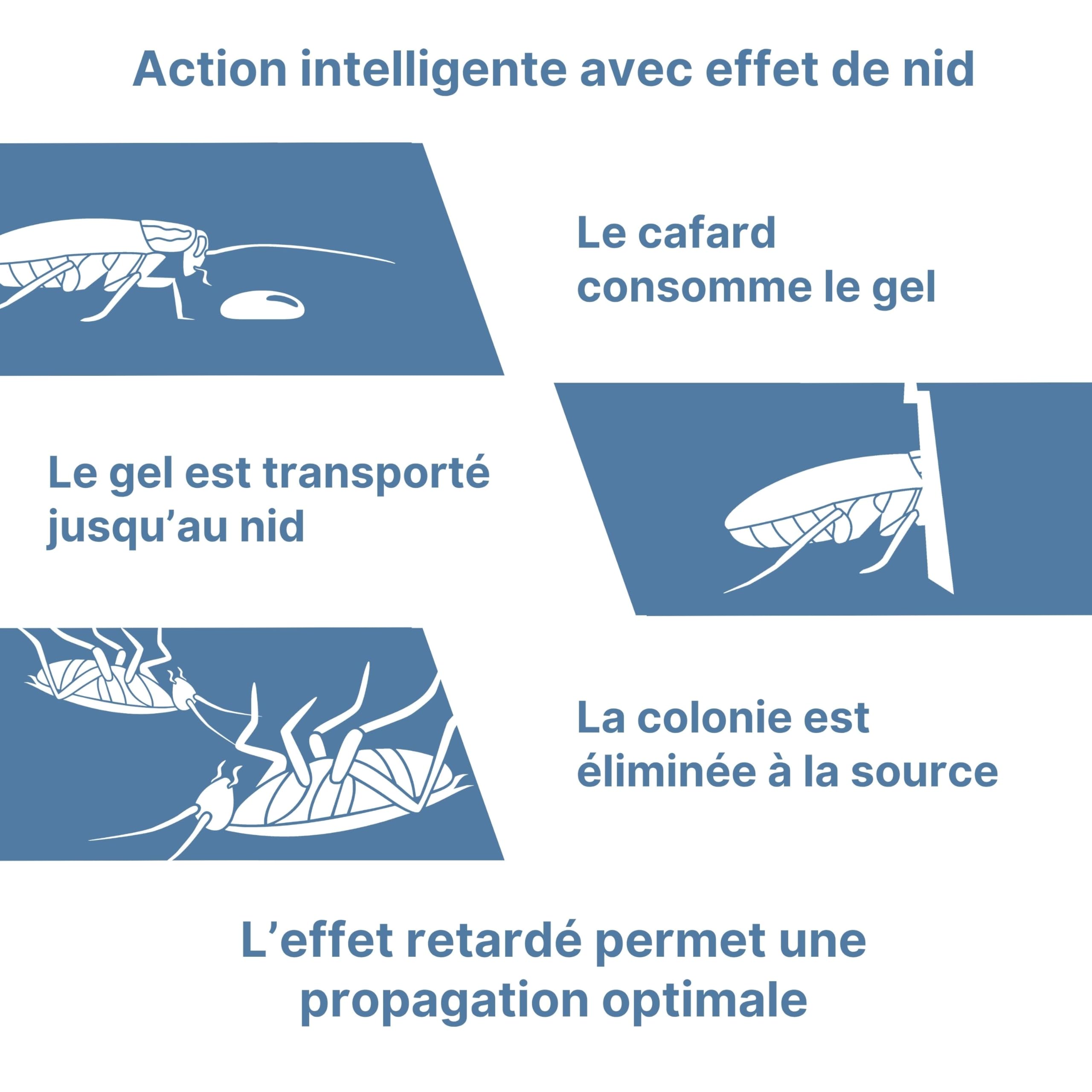 Novokill ROACH GEL PRO 10g – gel anti cafards professionnel à action prolongée