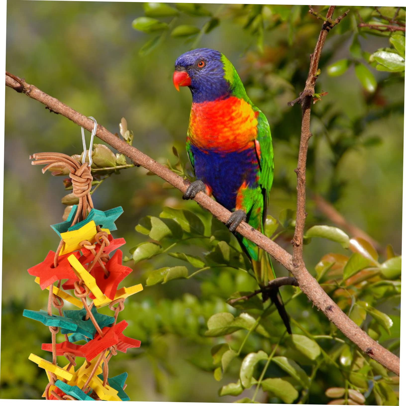 BESPORTBLE 3pièces Jouet à Mâcher pour Oiseaux Accessoire pour Perruches Et Perroquets Jouet De Grignotage Et pour Oiseaux De Compagnie