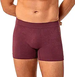 Cueca Boxer Lupo Sem Costura Microfibra Poliamida Original