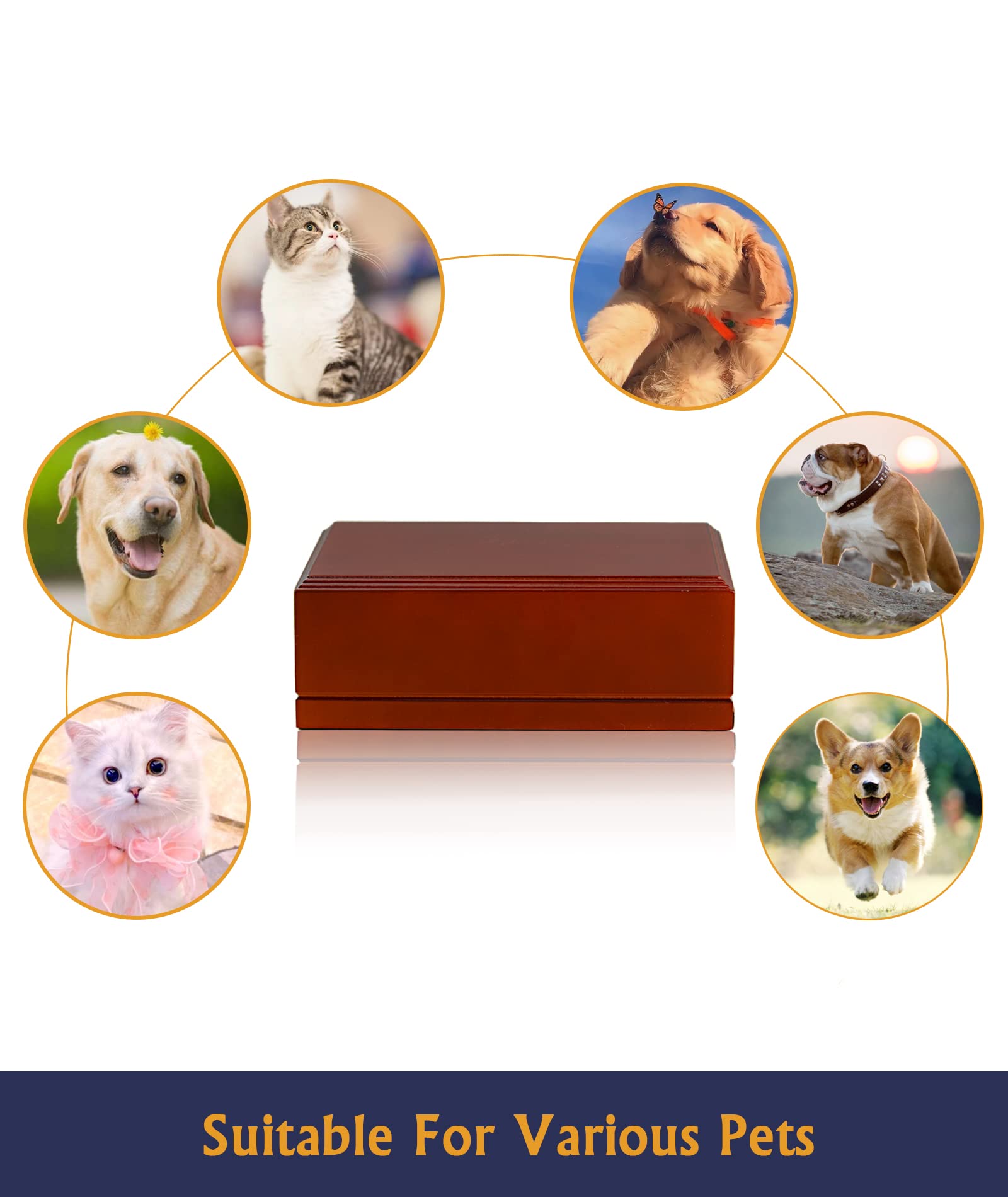 Kkiimatt 10 In 1 Hangmat Voor Huisdierverzorging Met Nagelknippers Trimmer Nagelknipper Kat En Hond Hangmat Katten Hondenverzorgingsriem Kleine Dieren Nagelknippen Knippen 2113718768