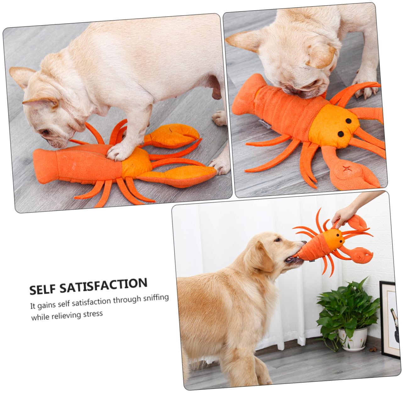 Angoily 3stücke Pet Snuffle Toy Für Hunde Cartoon-Lobster Design Interaktive Futter Und Trainingsmatte Fördert Langsames Fressen Und Schnüffelspiel Für Tägliche Beschäftigung Und