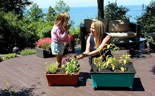 Miniatura 4 de Emsco Grupo Bountiful caja de cultivo, cama elevada para cosechar, Verde