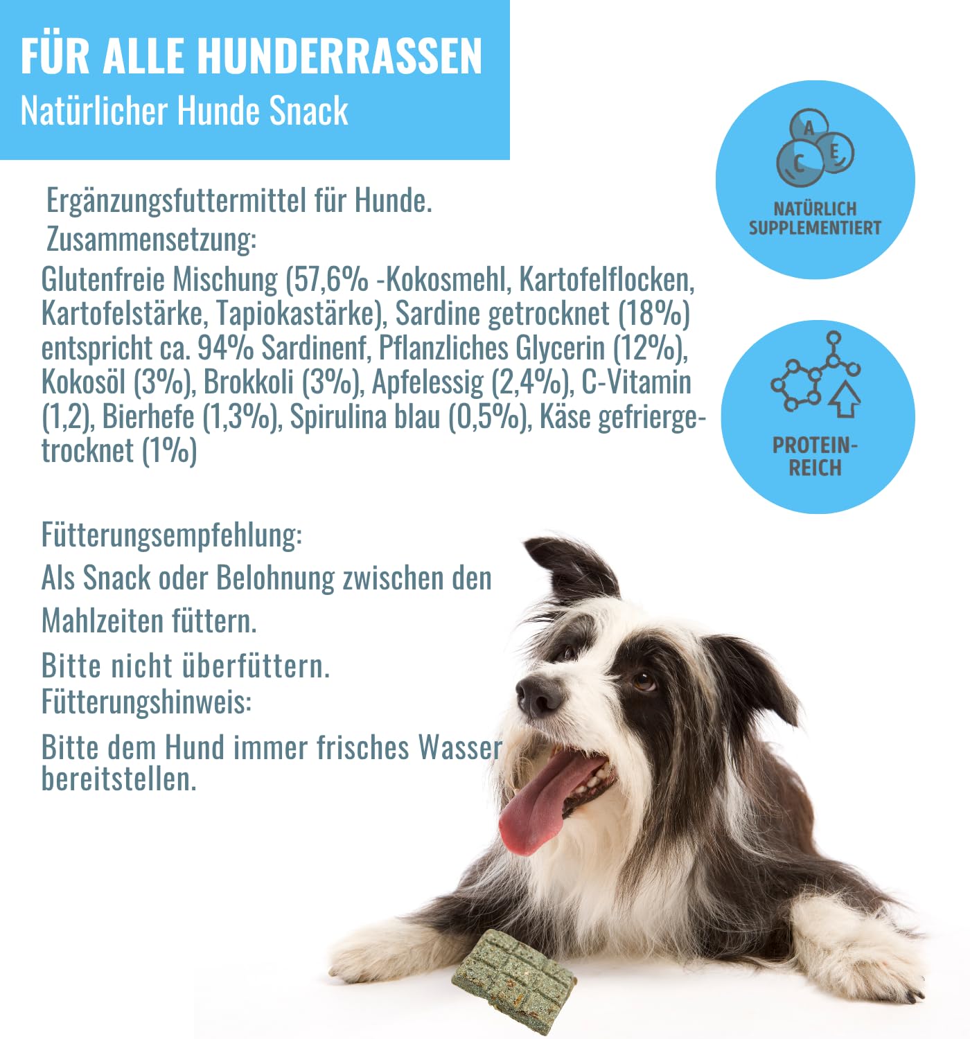 Fisch Leckerli Hundekuchen Riegelbox 6x300g mit Sardine, Brokkoli, Spirulina, Kokosöl & Bierhefe - Proteinreich, glutenfrei & ofengebacken - Für Fell, Haut & Immunsystem von RiNa leckerer Snack Hunde