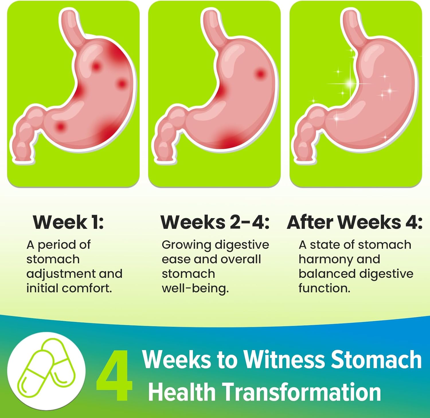 H. Pylori Defense Probiotics 100 Billion CFU - Lactobacillus Reuteri, Mastic Gum, Berberine, Zinc Carnosine, Green Tea, for Digestive & Gut Health, Stomach Comfort, Vegan, 120 Capsules - Image 5