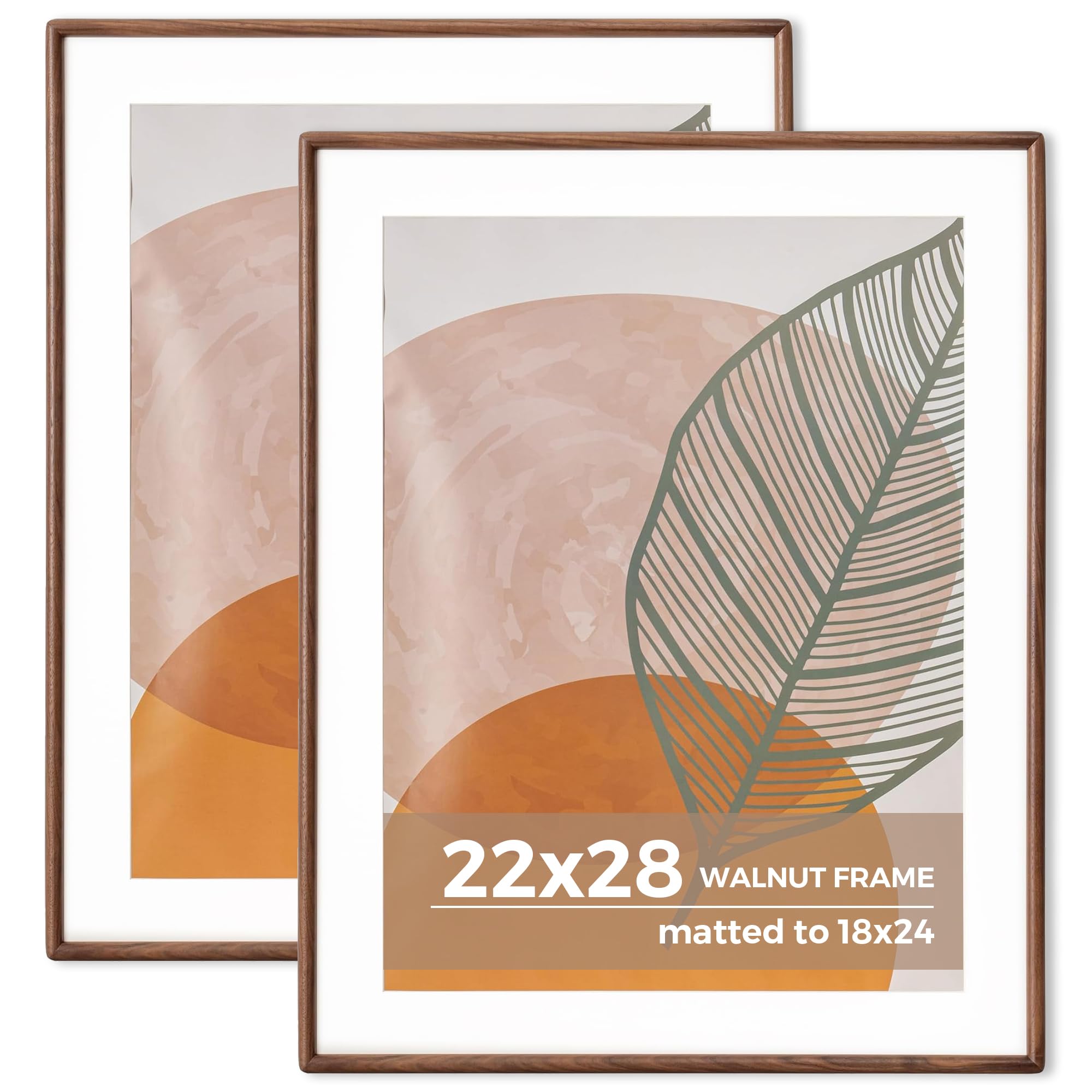 Axeman 22 x 28 Walnut Frame Set of 2 - Rounded Corner 22x28 Picture Frame Matted to 18x24 - Natural Walnut Wood Poster Frame with Tempered Glass for Wall Mount Display