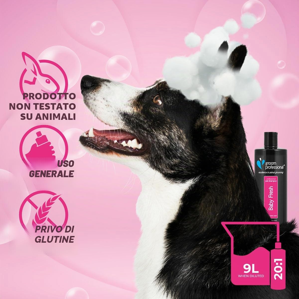 Groom Professional Baby Fresh Dog Shampoo (4 L) – Salon Size 20 : 1 Concentrate, Gentle Aloe Vera Formula, Deep Cleaning for Puppies or Sensitive Skin, Fresh Baby Powder Scent, Made in UK