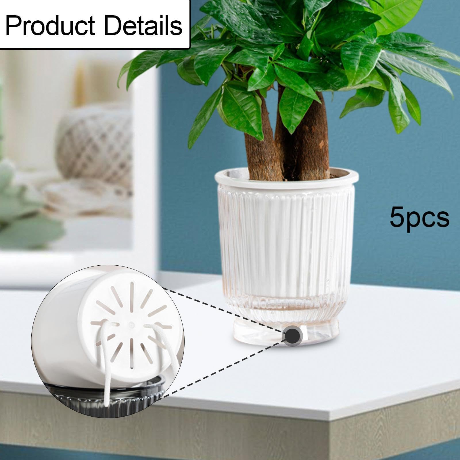 5 Jardinières à Arrosage Automatique, Pots de Fleurs, Pots de Plantes Moderne, Fabriqués en Pet PP de Haute Qualité pour, Clear 12x14.5cm