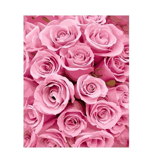 ITAWS Pintar Por Números Kits Patrón De Rosa Rosa, Sin Marco