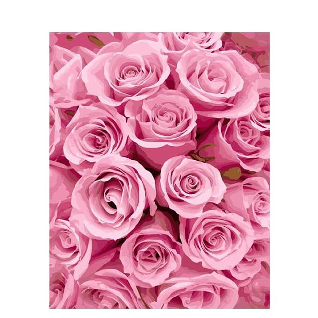 ITAWS Pintar Por Números Kits Patrón De Rosa Rosa, Sin Marco