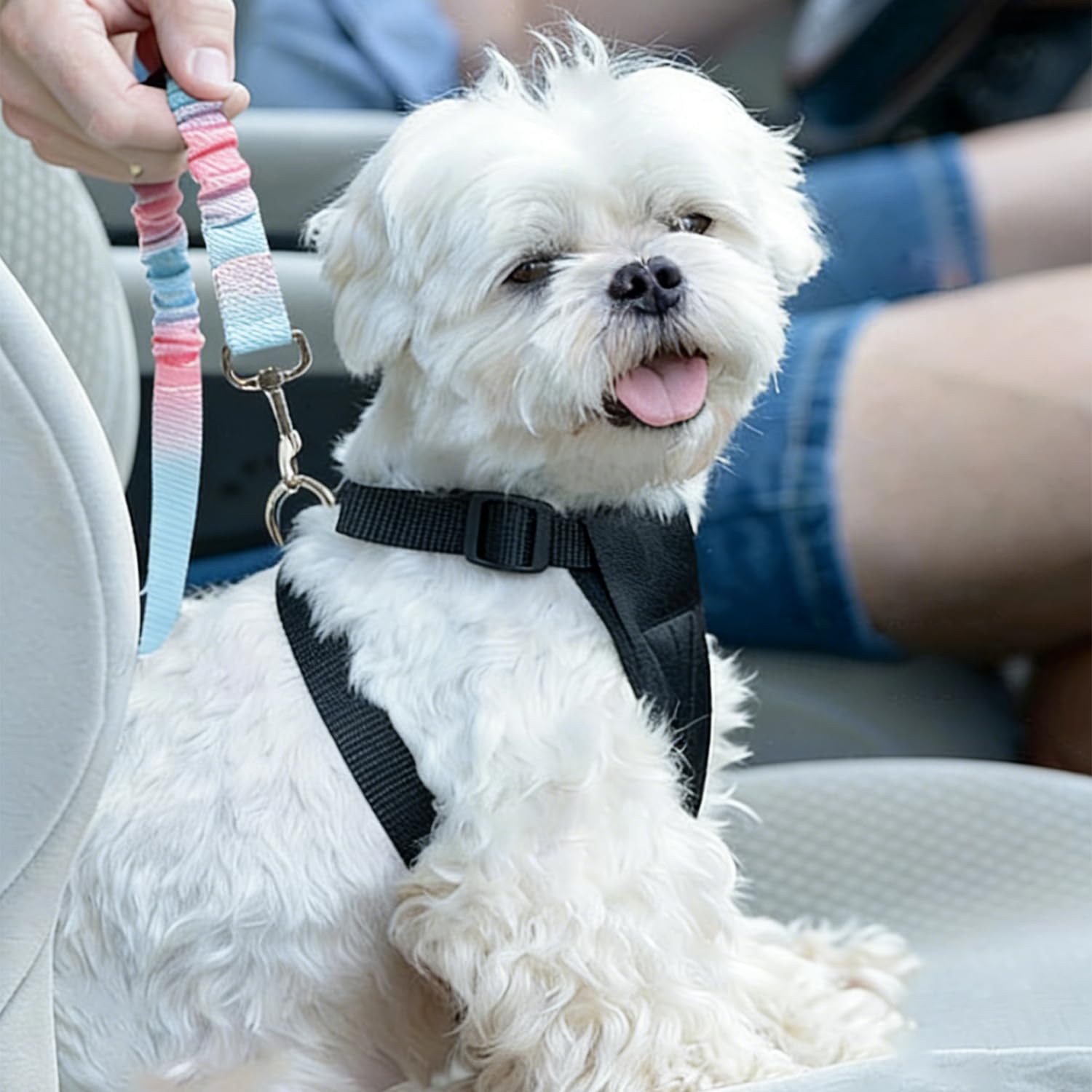 Réglable Ceinture Securite Chien Voiture - 1 Pièce, Bleu Rose Dégradé, Elastique Attache Chiens Voitures, Adaptée à Tous Les Types d'animaux et de Modèles de Véhicules
