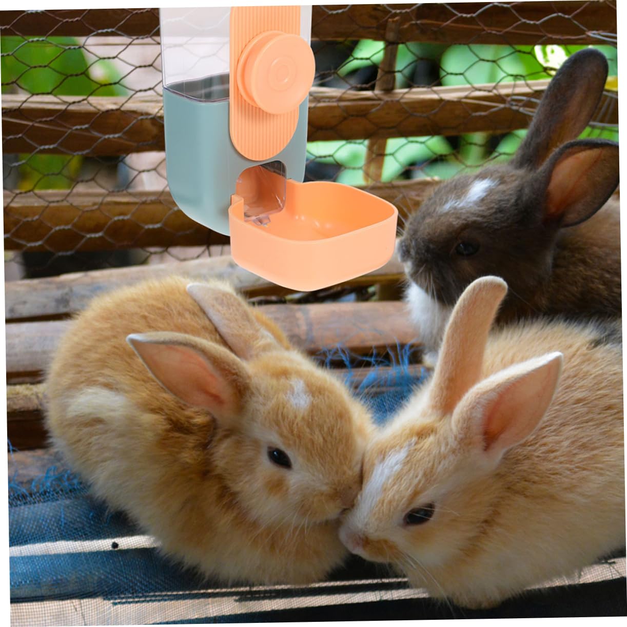 Automatischer Futterspender Für Meerschweinchen Große Kapazität Hängend Am Käfig Aus Wiederverwendbarem Kunststoff Sicher Und Gesund Für Kleine Haustiere