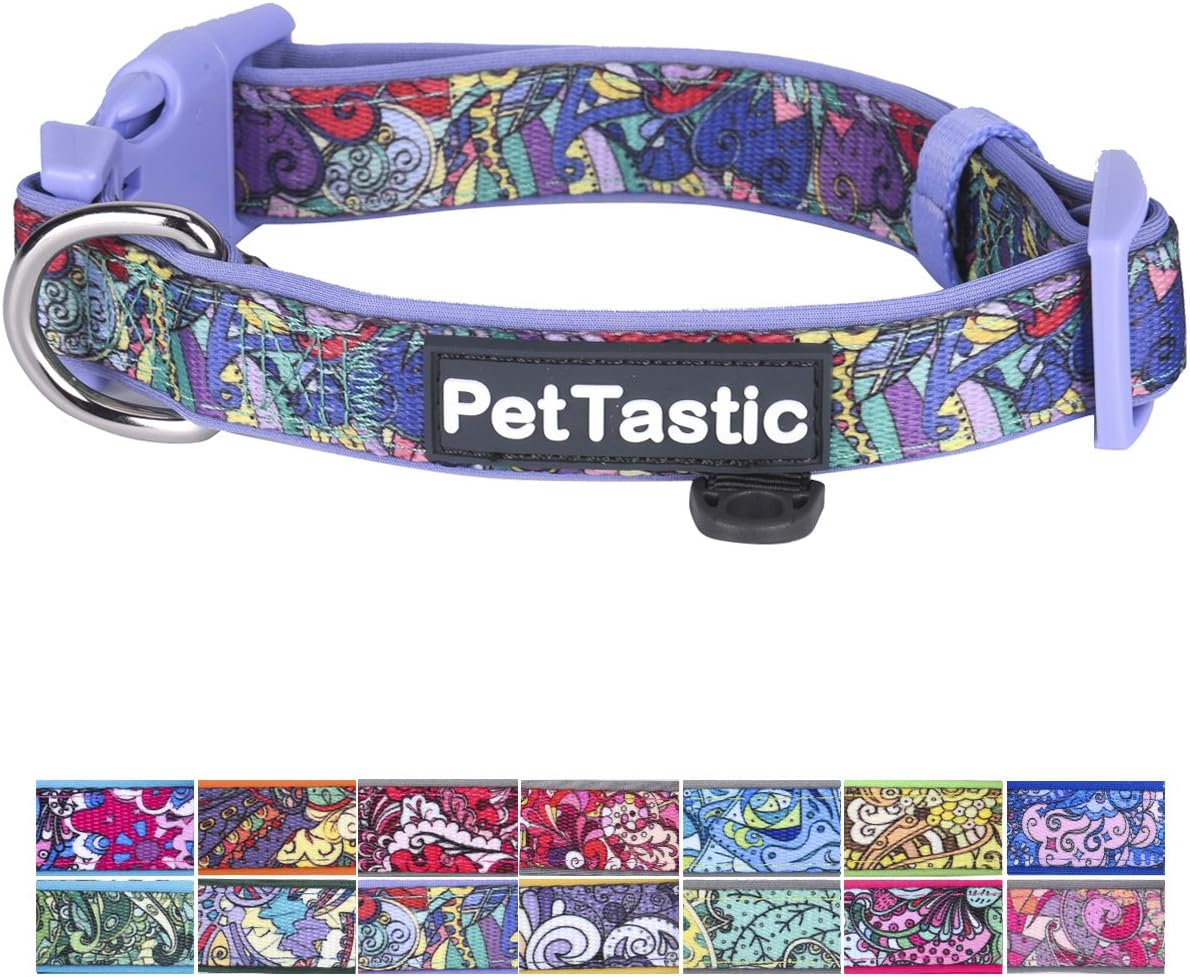 PetTastic Best Adjustable Small Dog Collar Durable Soft & Heavy Duty with Cute Creative Colored Design, Outdoor & Indoor use Comfort Dog…