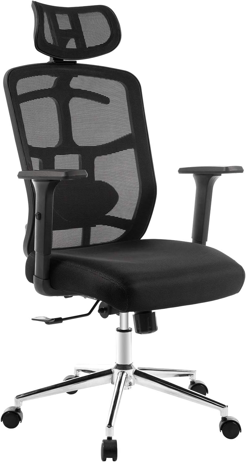 Topsky Ergonomic Office Chair
