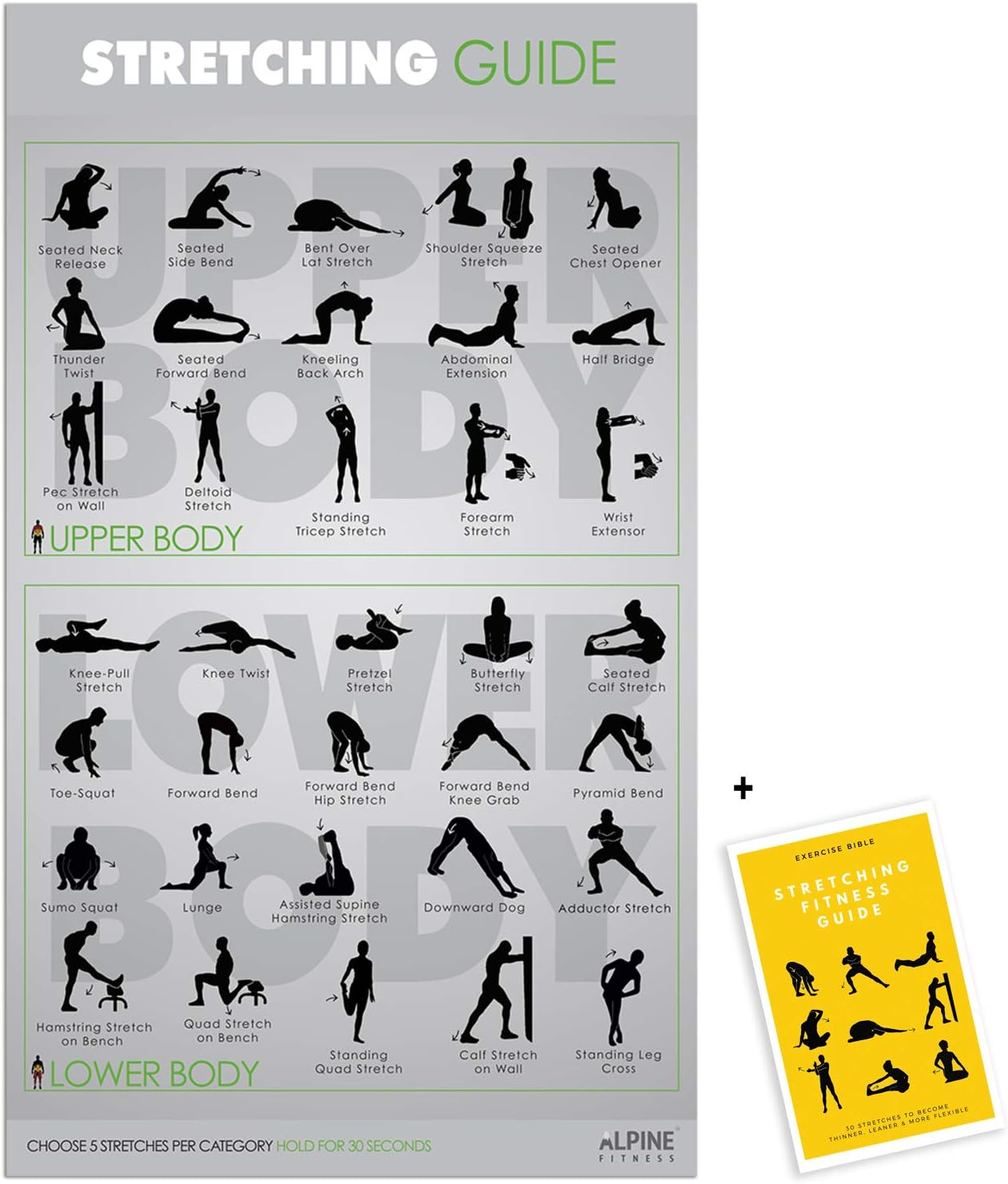 Alpine Choice UV Gloss Coated Laminate Stretching Guide Gym Poster - Large 16.5x28 Chart