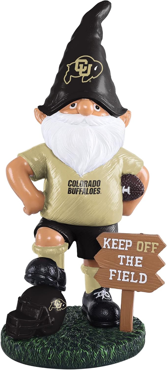foco NCAA Unisex-Adult NCAA College Team 3D Wood Model PZLZ Stadium