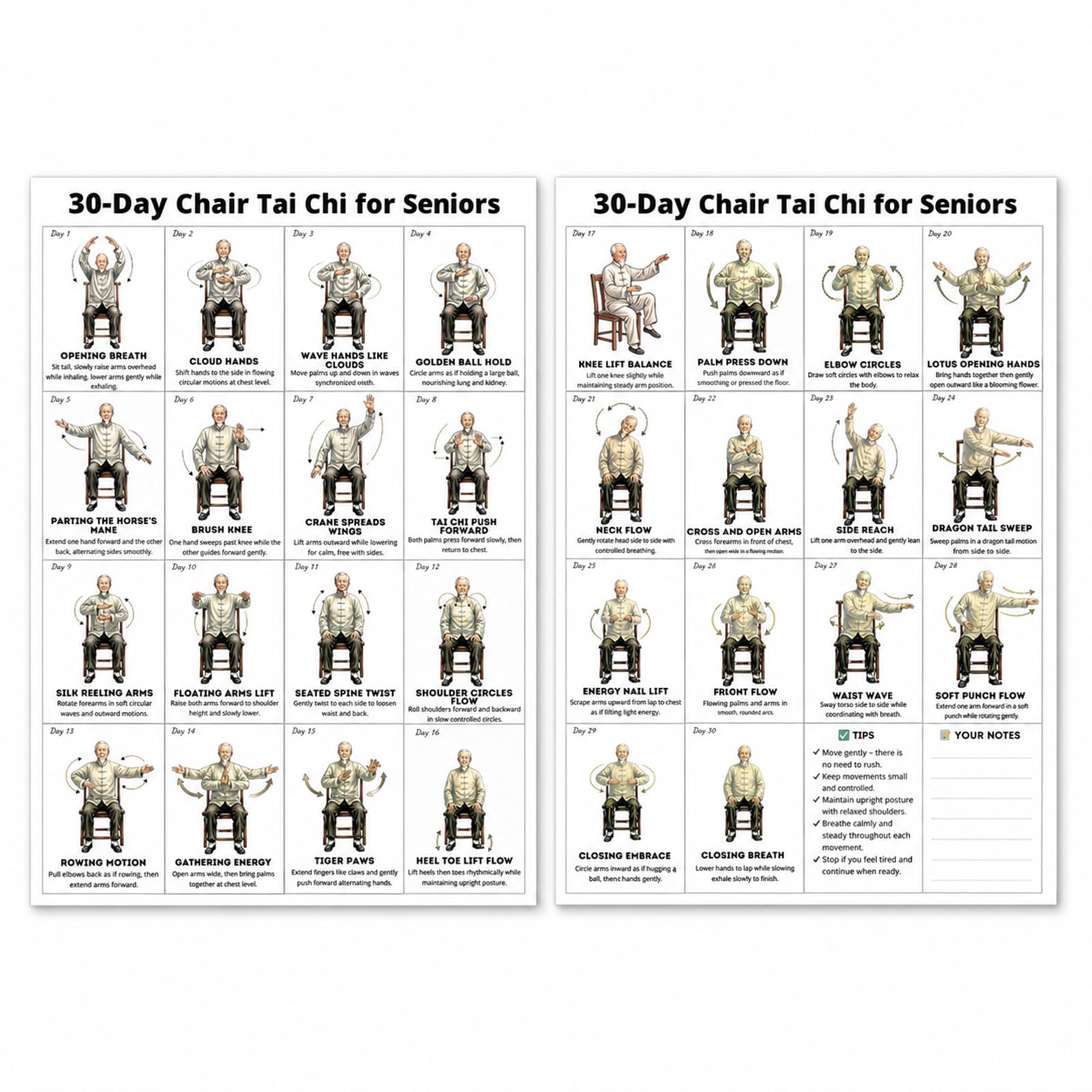 aieieii Tai Chi Chair Workouts Charts, Chair Tai Chi for Seniors Easy Display Chairs Exercises Artworkout Foldable Poster, for Seniors And Beginners Seated Exercises Chart