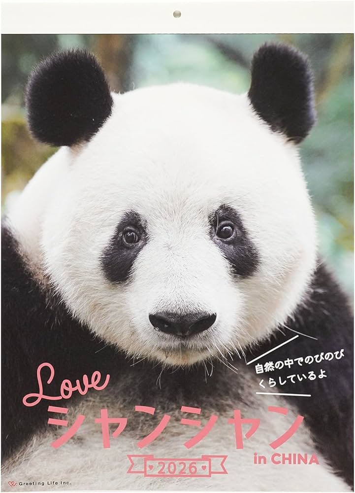 壁掛け飾り　新品　パンダ竹連画。送料無料　壁掛け輪 壁掛け飾り 新品 パンダ竹連画。送料無料 壁掛け輪