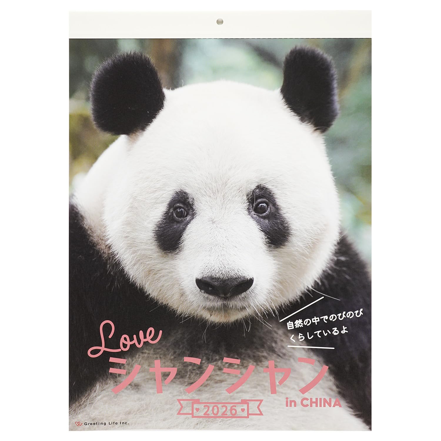 Amazon | グリーティングライフ 2026年 カレンダー シャンシャン