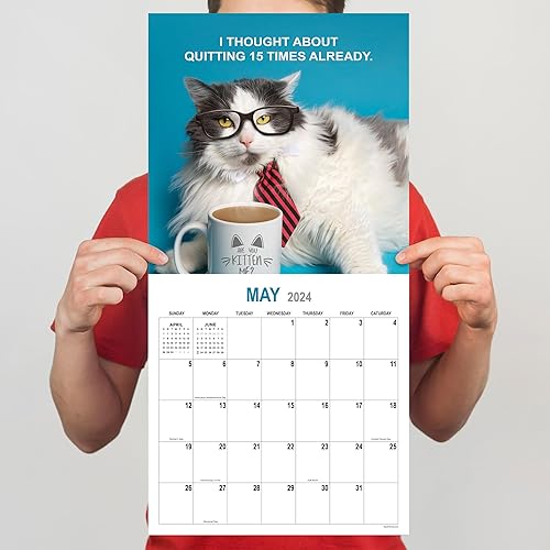 Miniatura 4 de TF PUBLISHING Calendario de pared de gatos corporativos 2024  Rejillas grandes para citas y programación  Calendario mensual vertical de pared 2024