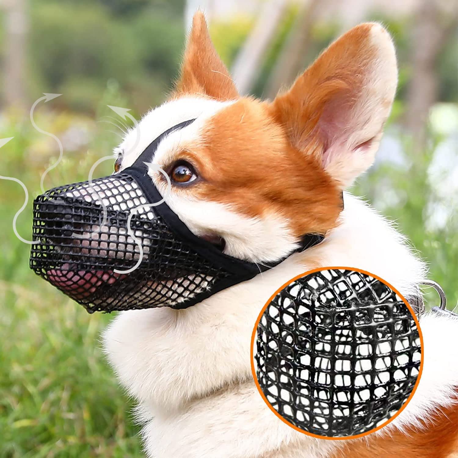 Museruola per Cani Con Rete Arrotondata, Traspirante e Regolabile - per Cani di Taglia Piccola, Media e Grande, Taglia M