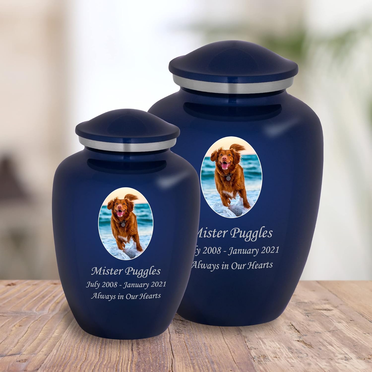 Homage Medium Custom Photo Pet Cremation Urn for Pet Ashes - Vase Style Pet Urn - 80 Cubic Inch Capacity - Personalization Included (Sapphire Blue)