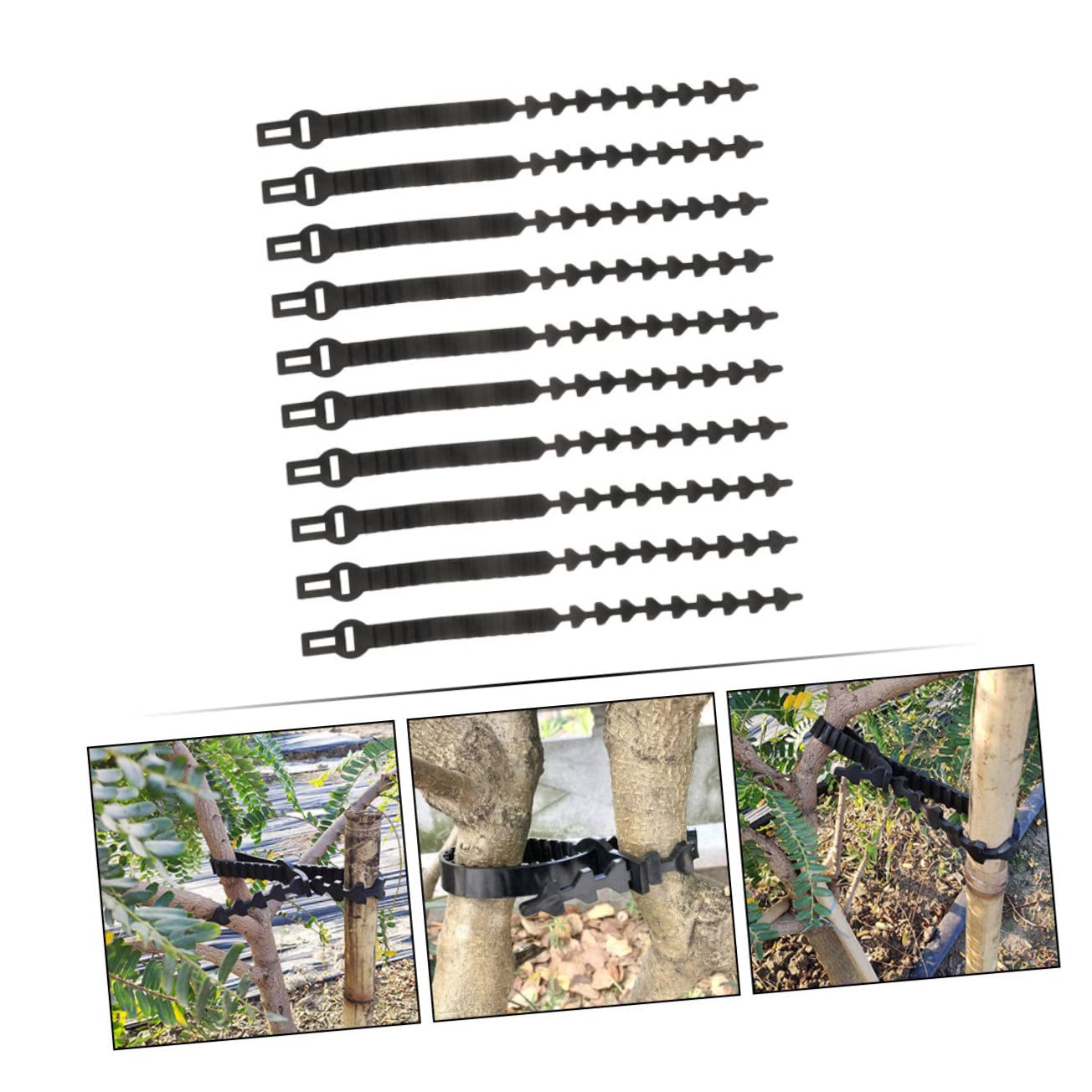 Baumbänder 10 Stück für Obstbäume Jungpflanzen Gummiverschlussband Schwarz Verstellbar zum Binden und Ausrichten von Ästen und Stämmen