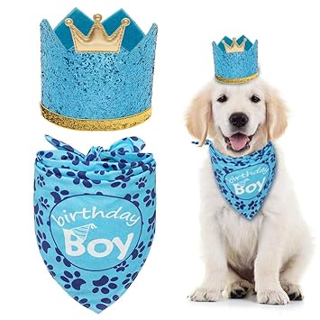 EXPAWLORER Dog Birthday Bandana with Crown Hat - Triangle Scarfs and Cute Party Hat for Pets, Blue