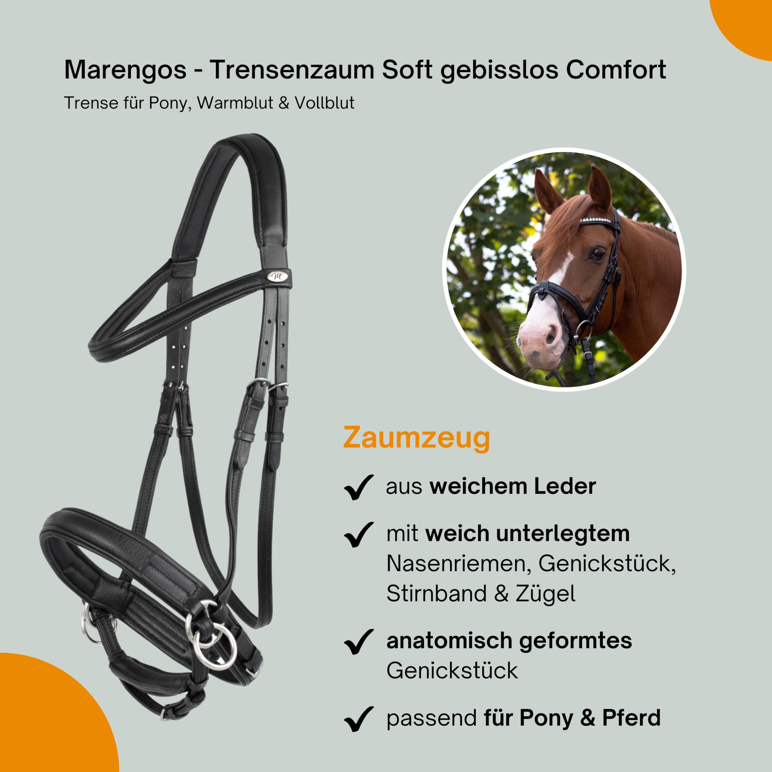 Marengos - Trensenzaum Soft gebisslos Comfort | Trense aus Leder & mit anatomisch geformtem Genickstück | Zaumzeug mit Zügel & Edelstahlbeschlägen | Größe Pony | Pferde Zubehör in schwarz | Trense aus Leder – anatomisch geformtes Genickstück – Zaumzeug mi