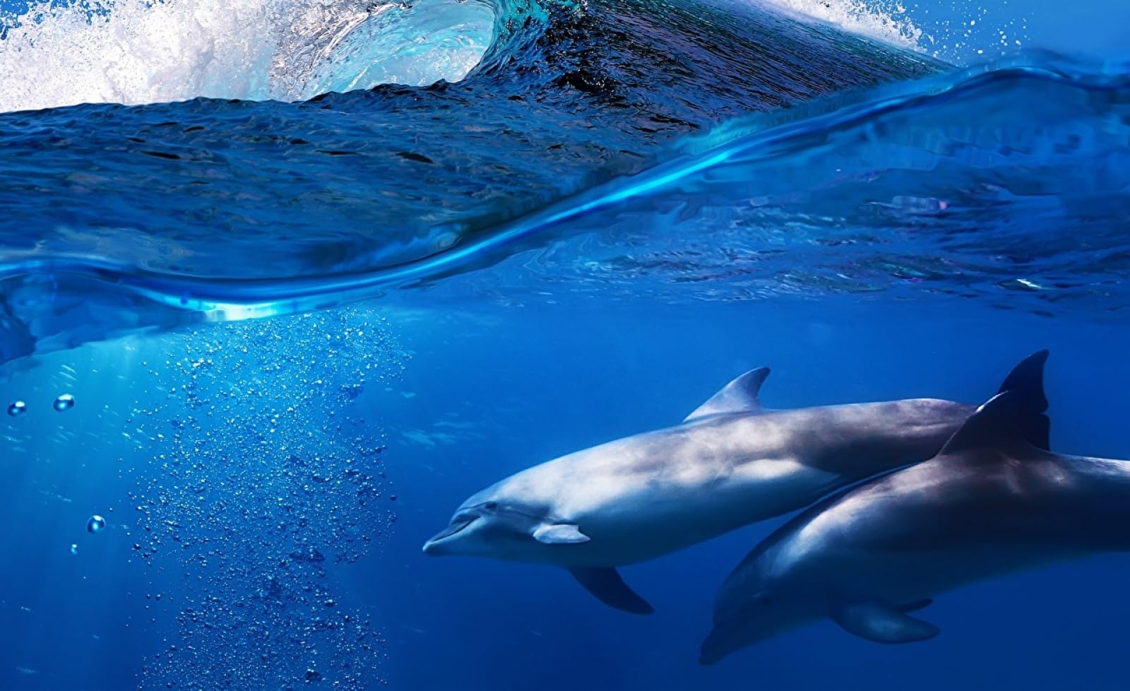 Rompecabezas 1500 Piezas Delfines Olas Animal 87x57cm
