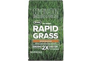 Turf Builder Rapid Grass Bermudagrass: The Secret to a Lush Lawn for Southern Charm