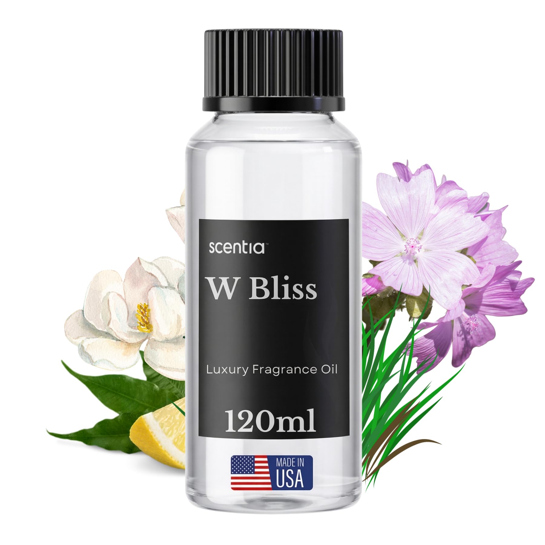 Amazon.com: W Bliss Diffuser Oil Refill, W Hotel Inspired Scent