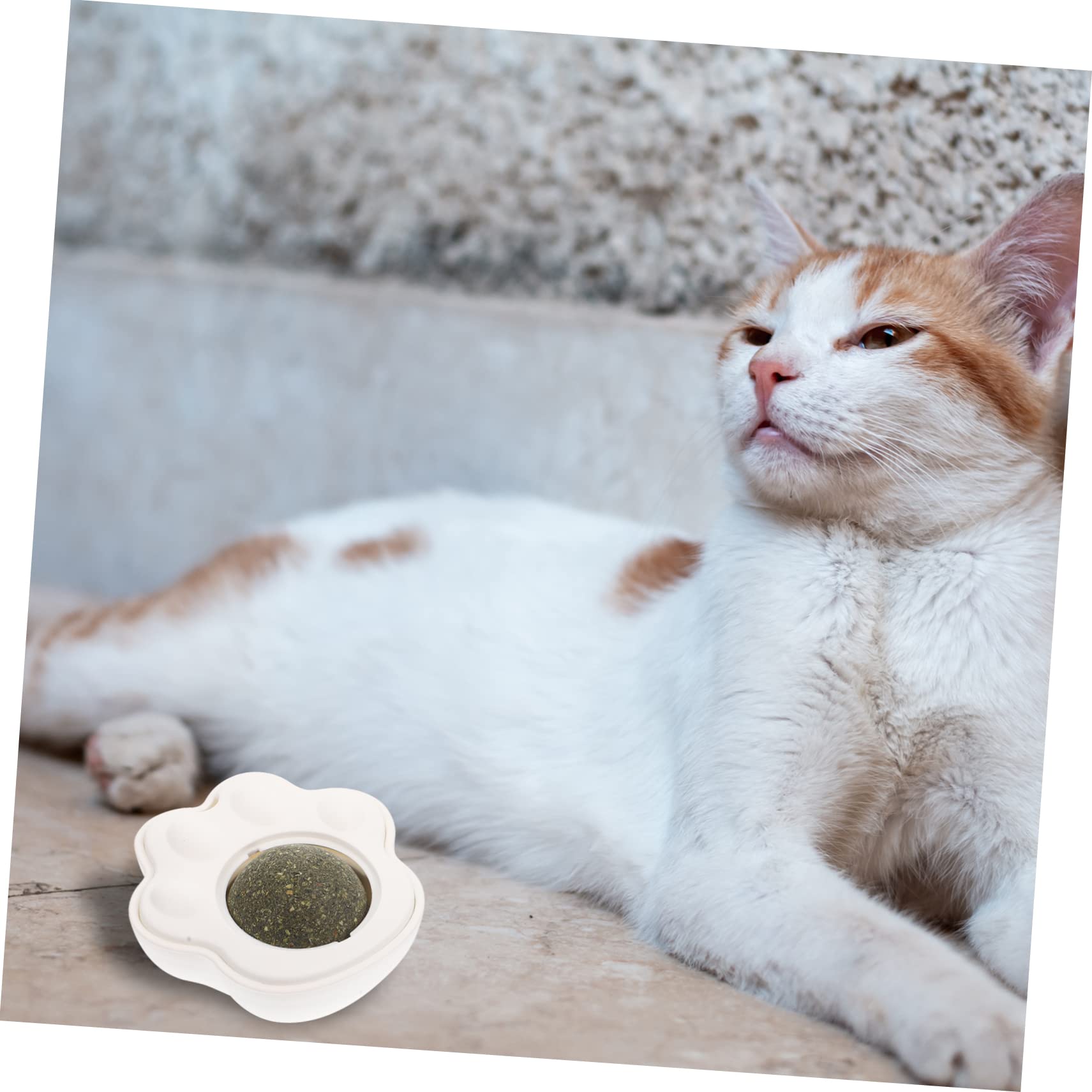 Yardwe 10 Juegos De Huellas De Gatera para Gatos De Gatera Juguete para Mascotas Juguete para Morder Gatito Juguete para para La Montaje