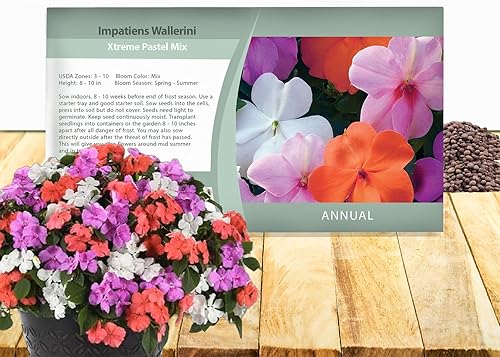Outsidepride 150 semillas Impatiens Xtreme Pastel Shade Garden Flower Seed Mix para plantar