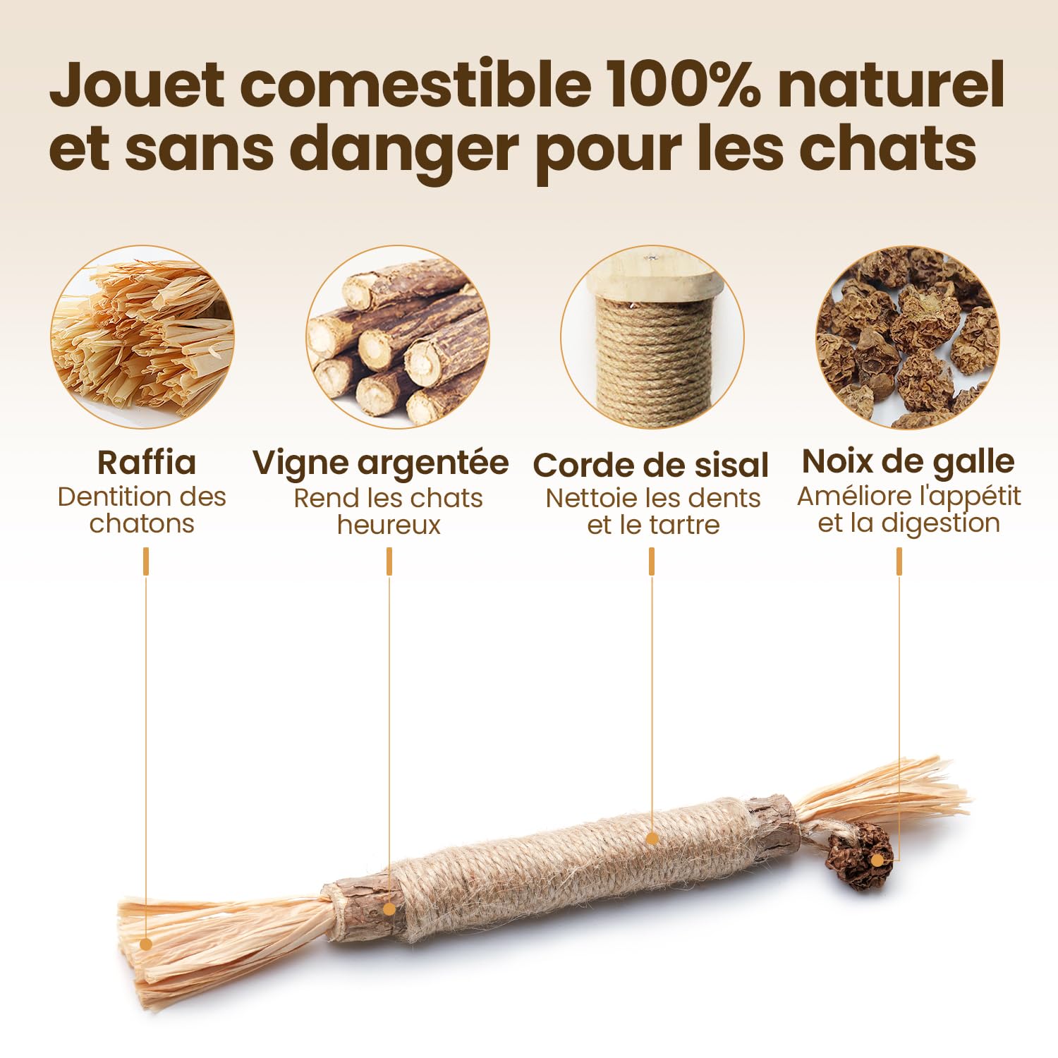 Potaroma Lot de 6 Bâtonnets Naturels pour Chats – Jouets à Mâcher avec Cataire & silvervine pour Jeu Interactif et Nettoyage des Dents