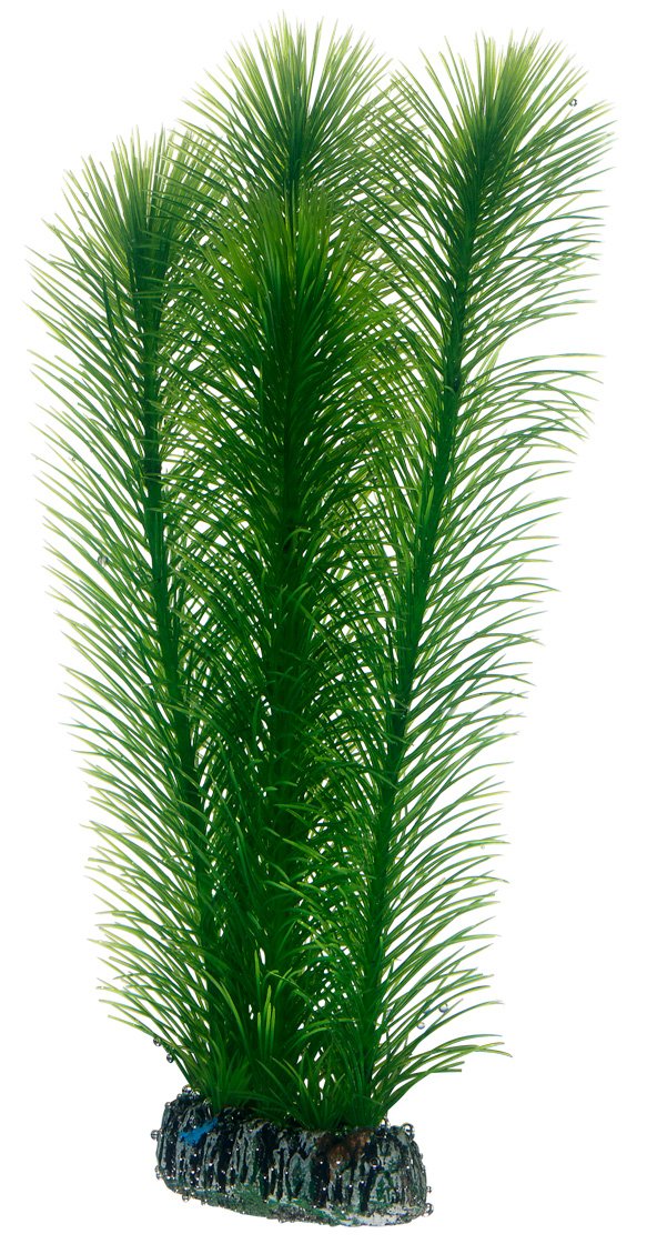 Hobby 51586 Mayaca, 25 cm
