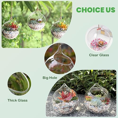 Miniatura 6 de Ivolador Terrarium Container Flower Planter Hanging Glass for Hydroponic Plants Home Garden Décor