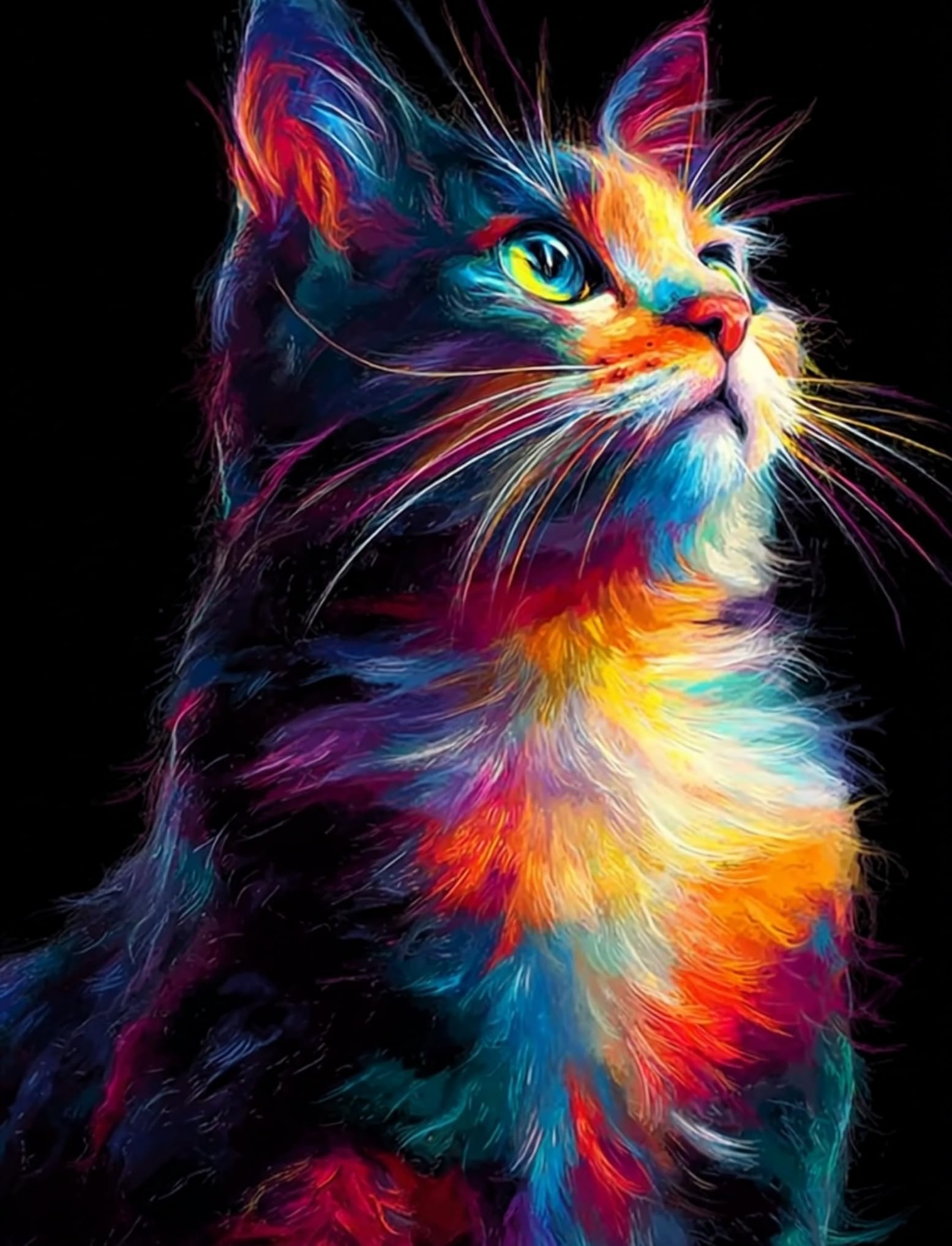 WANGWANGMIAO Paint by Number for Adults Colorful Cat in Night,Painting by Numbers Kits for Beginners,Colorful Oil Paints Craft Art for Home Wall Decor Gift 20X16Inch，Without Frame
