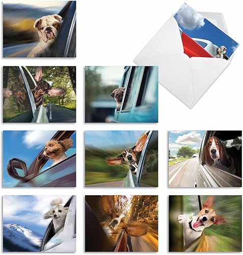 The Best Card Company - 10 tarjetas de perro en blanco surtidas (4 x 5.12 pulgadas) - Adorables tarjetas de notas de animales en caja para todas las