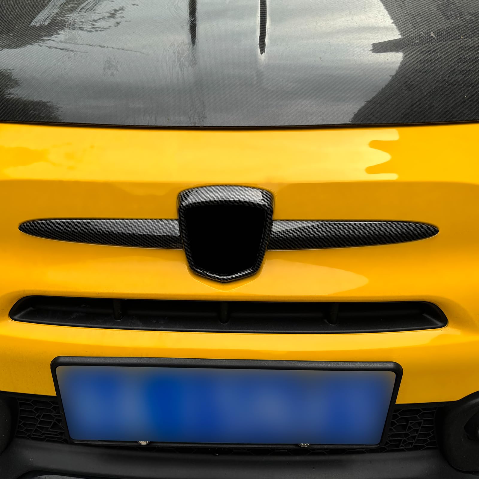 Frontgrill Rahmen Abdeckung für Abarth 595 595C 695 695C(2012-2024)