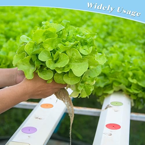 Miniatura 7 de Lallisa Paquete de 240 collares de clon de neopreno de 2 pulgadas, insertos de espuma hidropónica coloridos, insertos de clonación de espuma para