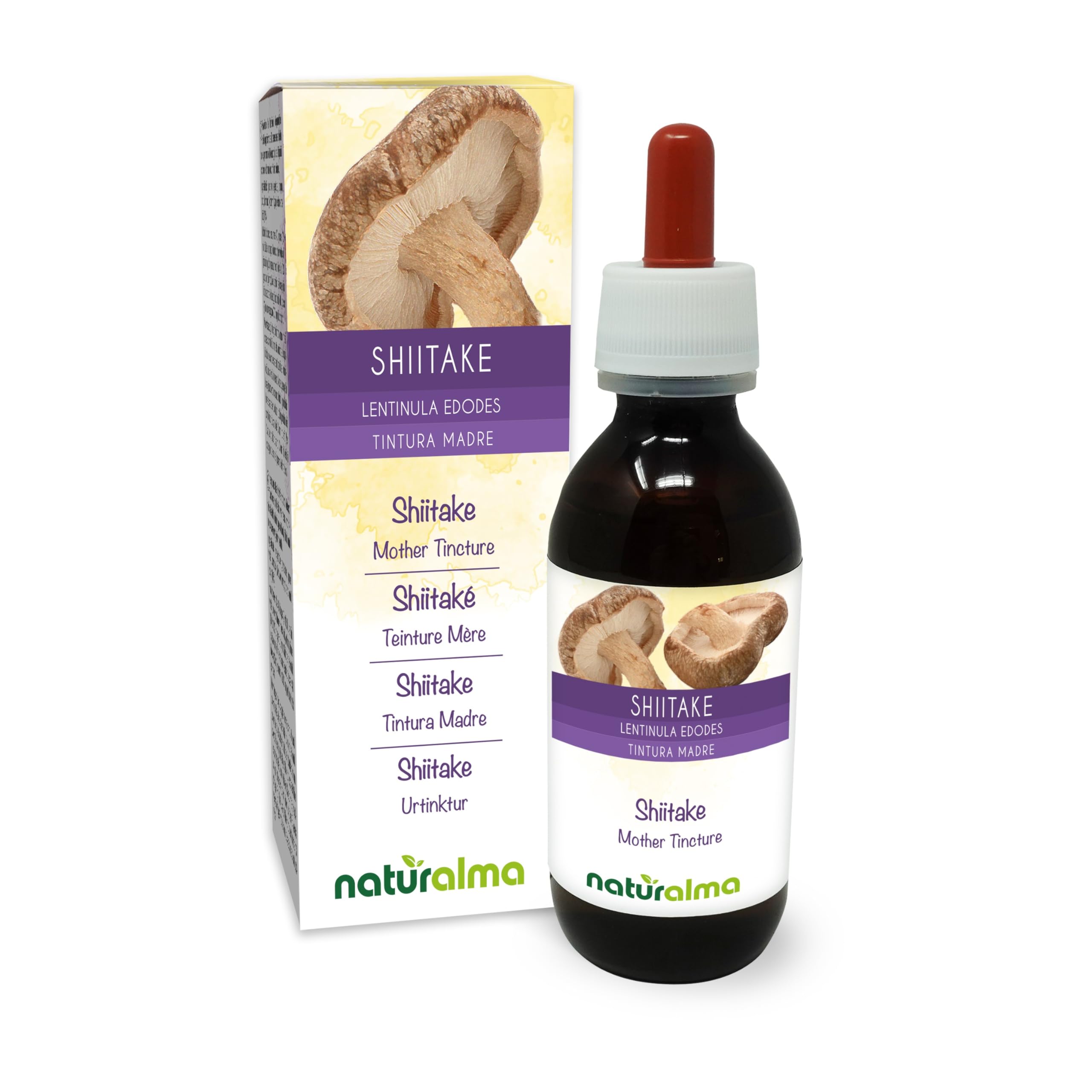 Shiitake (Lentinula edodes) Fungus or Mushroom Alcohol-Free Mother Tincture Naturalma - Liquid Extract Drops 120 ml - Food Supplement - Vegan