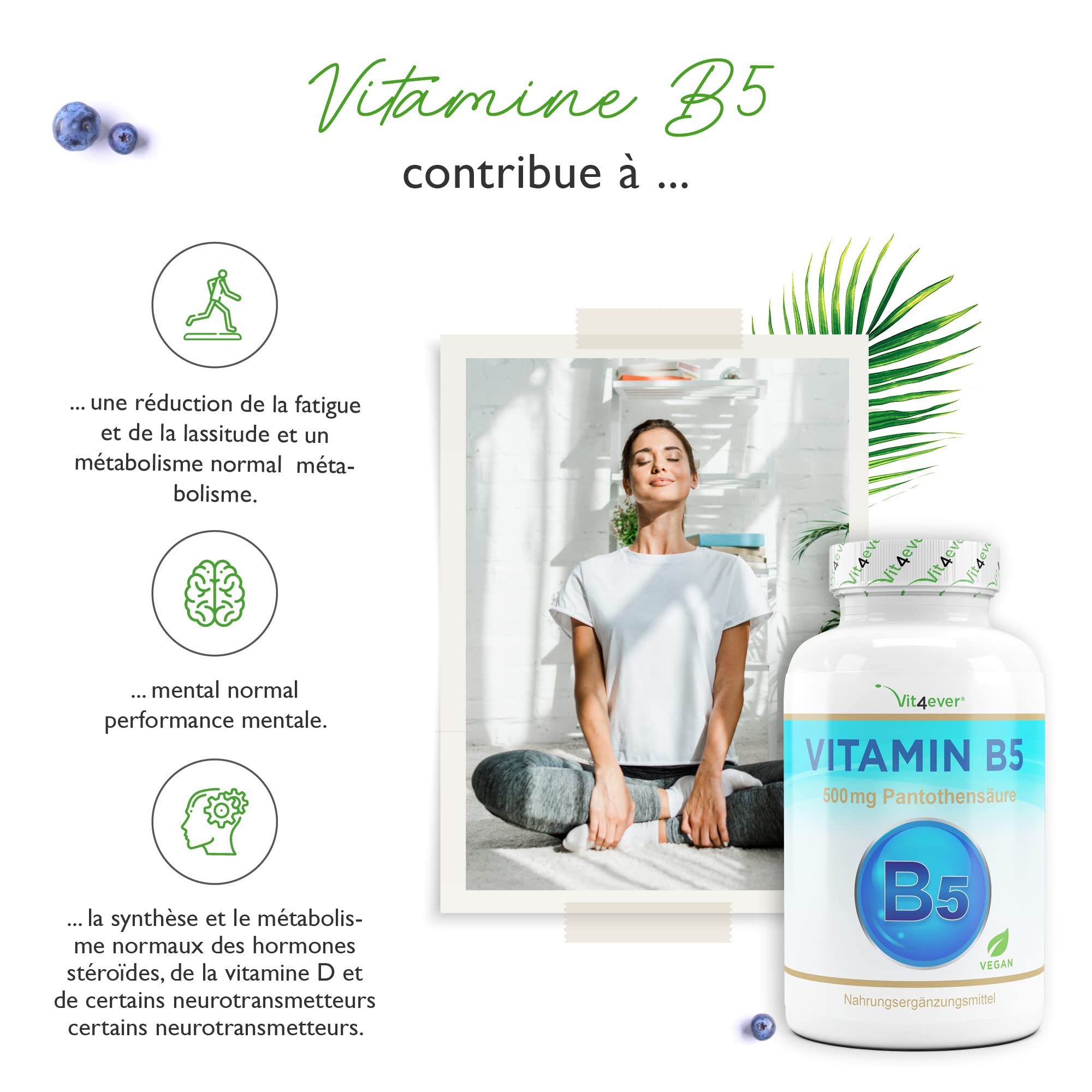 Vitamine B5 avec 500 mg - 180 Capsules - Acide pantothénique - Hautement dosé - Vegan - Vitamine B pour la peau et les nerfs