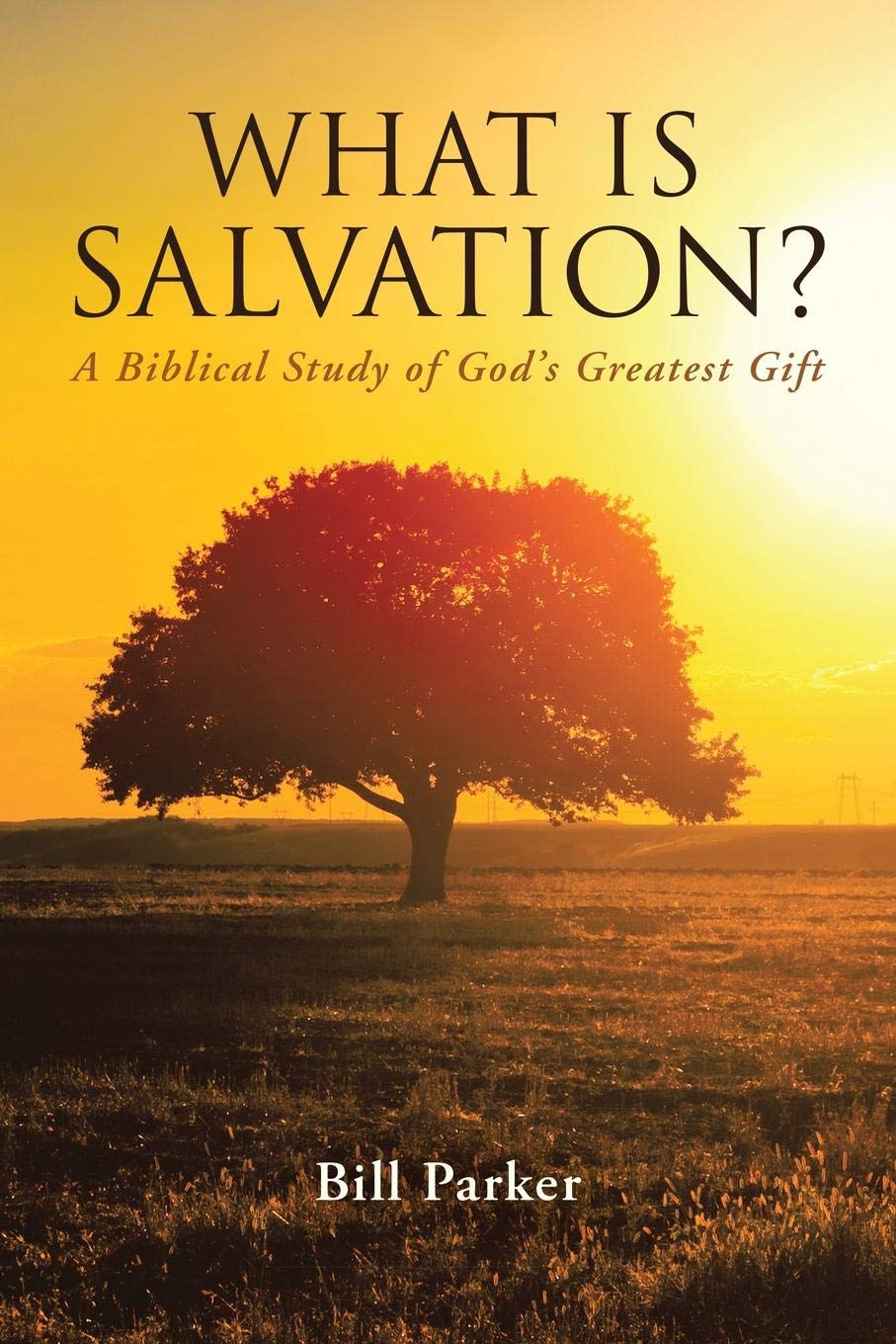 Bill ParkerWHAT IS SALVATION?: A Biblical Study of God’s Greatest Gift