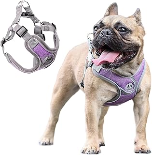 ORYEDA Dog Harness No Pull for Medium Size, Easy Walk Adjustable Pet Harness, No-Choke Soft Padded Dog Vest, Reflective Breathable Pet Oxford Cloth with 2 Metal Leash Clips