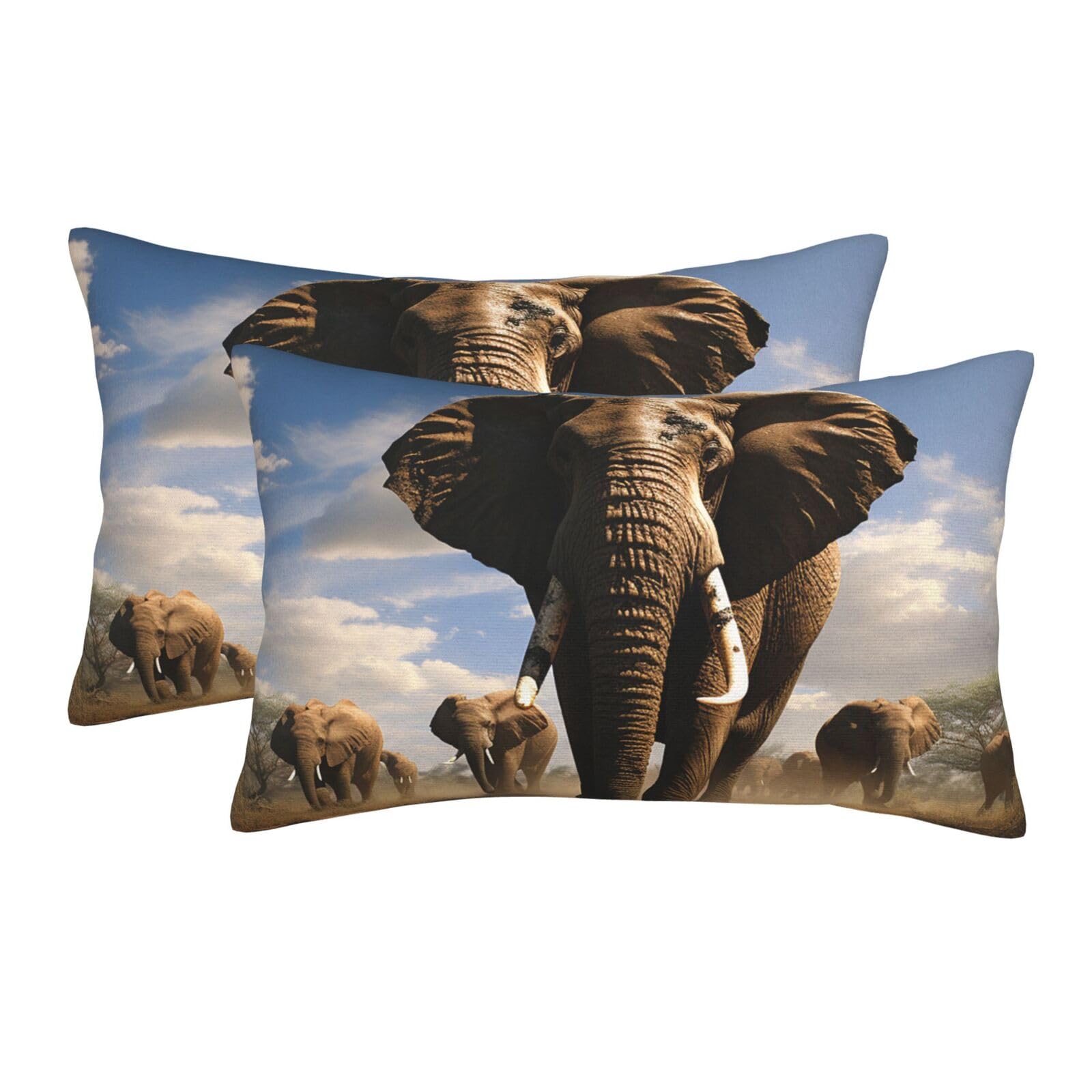 2 Pack Standard Size Pillow Cases for Hair and Skin Soft Breathable Pillow Case Covers with Hidden Zipper Ferocious Elephant Pillowcase 16"x24" Pillow Cover for Sleeping Gift