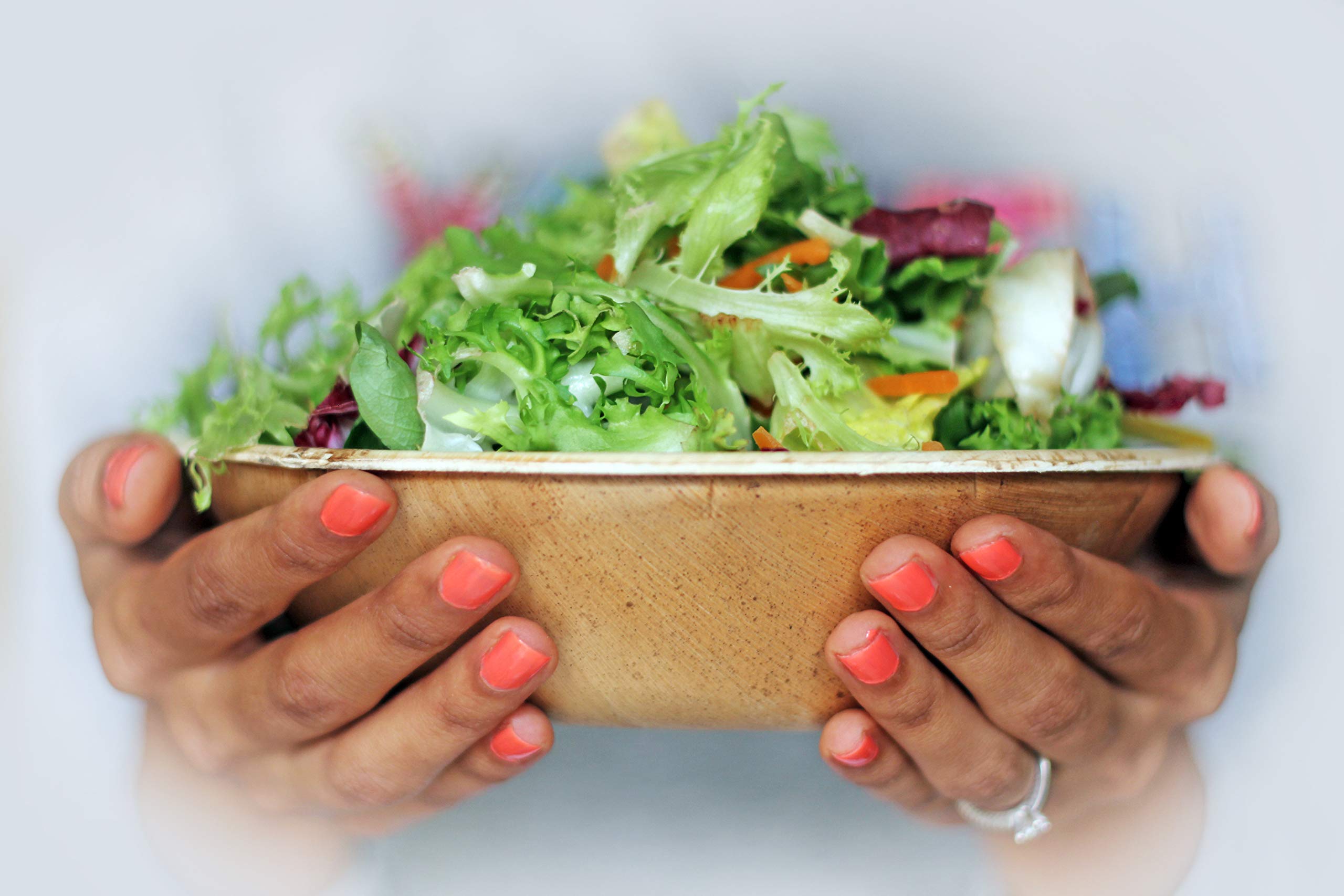 20 Bols Jetables En Feuille De Palmier 20cm - Écologiques, Biodégradables Pour Fêtes Et Repas