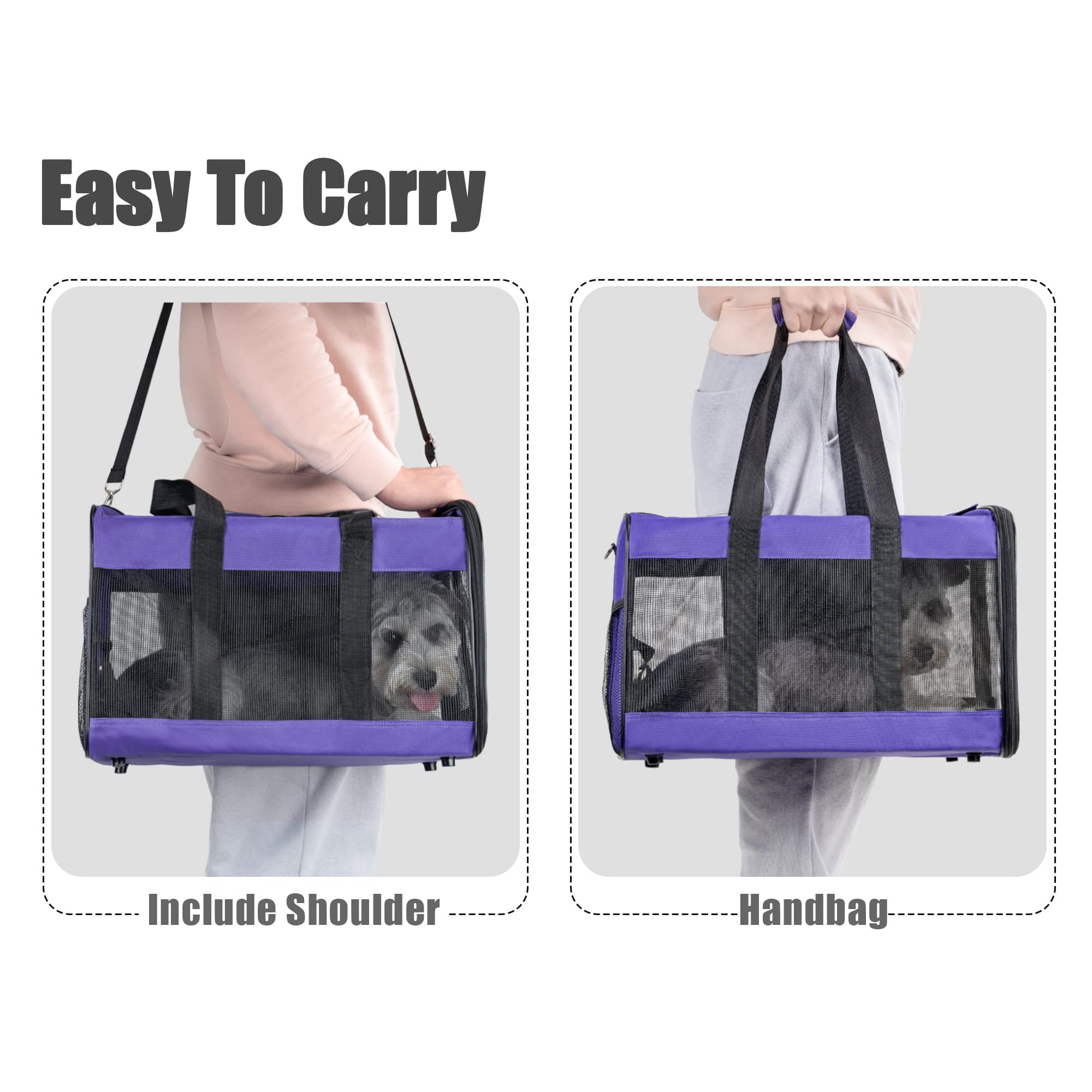 Hitchy Sac De Transport Chat/Sac De Transport Chien pour Chats, Petits Chiens, Chatons Ou Chiots, Souple et Pliable avec Tapis en Laine pour Voyage en Voiture et Train Violet (M)